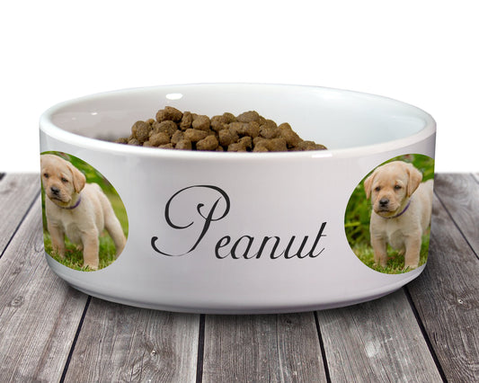 Personalised Photo Dog Pet Bowl - Large Ceramic Dog Bowl - Colour Name Print - Pink - Grey- Black - Blue - Custom Made